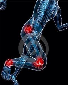 10685490_740541402687236_2716881817469890349_n