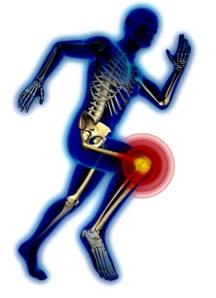 1794698_740541349353908_6739416379907106315_n